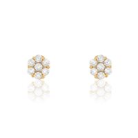 Orecchini Stroili Oro Donna in Oro 14011047 - 14011047